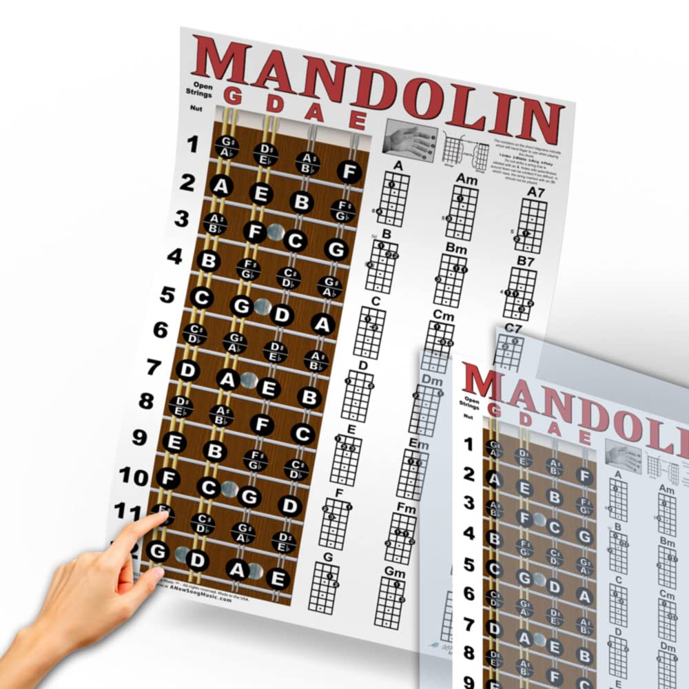 Laminated Mandolin Fretboard Notes & Easy Beginner Chord Chart 11"x17" Instructional Poster by A New Song Music