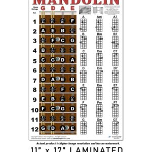 Laminated Mandolin Fretboard Notes & Easy Beginner Chord Chart 11"x17" Instructional Poster by A New Song Music