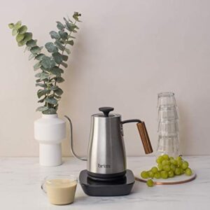 Brim 0.8L Gooseneck Kettle w Wood Handle, Easy Brewing Pour Over Coffee, Tea or Hot Beverages, 6 Variable Temperature Presets, Capacitive Smart Touch Interface, Cordless Power Base, Stainless Steel