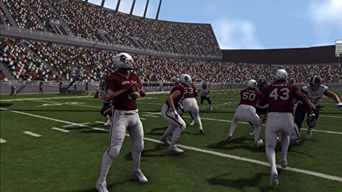 Doug Flutie's Maximum Football 2019 (PS4) - PlayStation 4