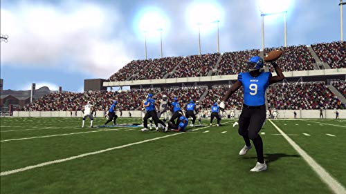 Doug Flutie's Maximum Football 2019 (PS4) - PlayStation 4