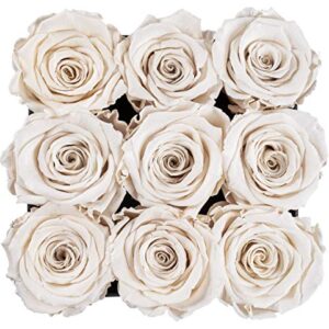 SOHO FLORAL ARTS New Roses Preserved Flowers | Genuine Roses That Lasts for Years | Flowers for Delivery | Large/XL Box (Black Box White Roses 9ct)