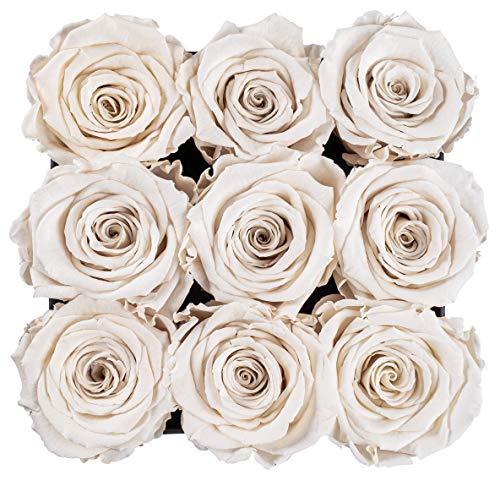 SOHO FLORAL ARTS New Roses Preserved Flowers | Genuine Roses That Lasts for Years | Flowers for Delivery | Large/XL Box (Black Box White Roses 9ct)