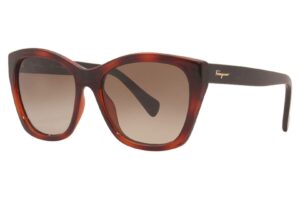 ferragamo sf957s women sunglasses tortoise