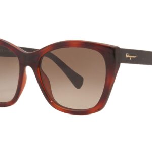 Ferragamo SF957S Women Sunglasses Tortoise