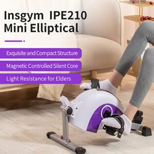 INSGYM Sitting Mini Exercise Bike - Recumbent Exercise Bikes for Home Steppers Exercise for Seniors While Sitting Under Desk Bike Exercise Equipment Hands Bike Pedal Exerciser IPE210 (Purple/White)