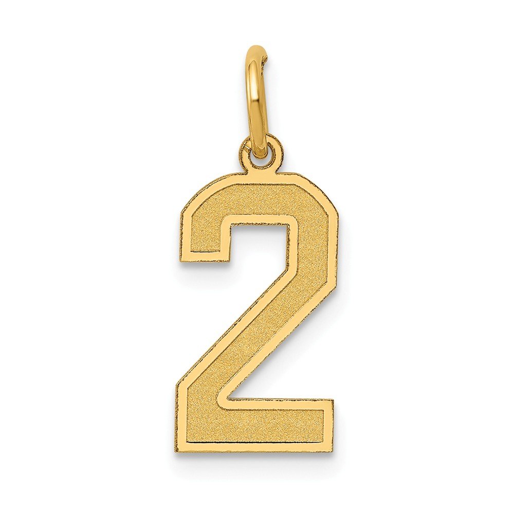 Solid 14k Yellow Gold Medium Number 2 Charm Brushed Matte Finish Pendant - 20mm x 8mm