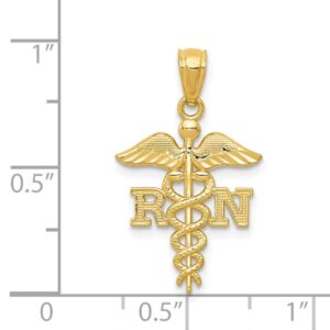 Solid 14k Yellow Gold Diamond-cut RN Registered Nurse Nurse Pendant Charm 24mm