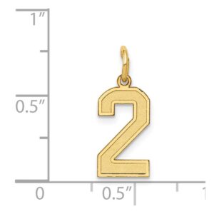 Solid 14k Yellow Gold Small Number 2 Charm Brushed Matte Finish Pendant - 18mm x 7mm