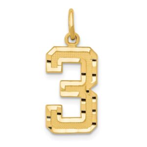 Solid 14k Yellow Gold Casted Medium Diamond-Cut Number 3 Charm Pendant - 22mm x 9mm