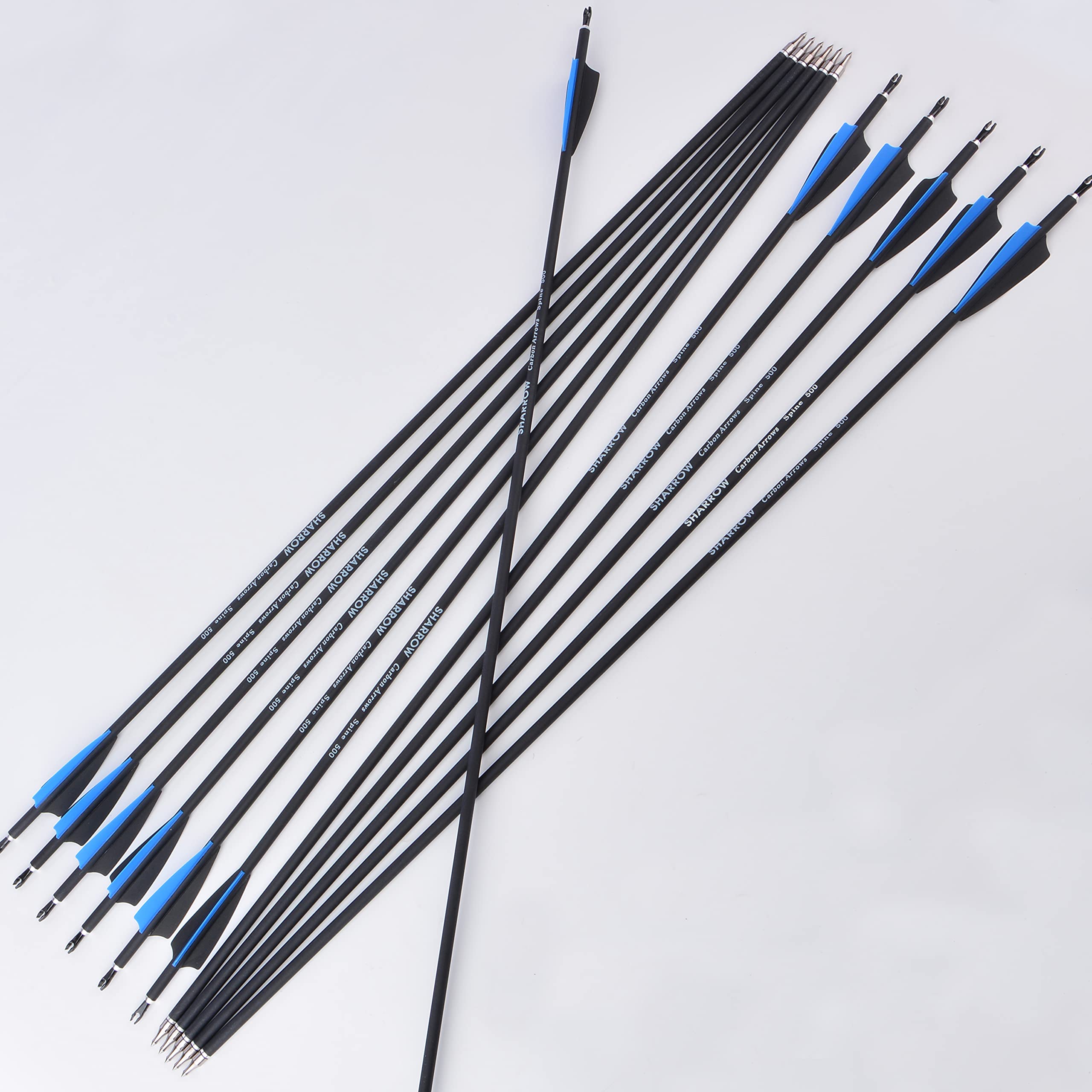 AMEYXGS 31 Inch Carbon Arrow Practice Hunting Arrow for Compound & Recurve Bow Hunting Shooting (Blue)