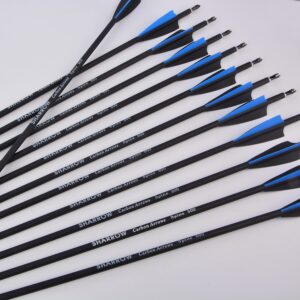 AMEYXGS 31 Inch Carbon Arrow Practice Hunting Arrow for Compound & Recurve Bow Hunting Shooting (Blue)