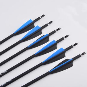 AMEYXGS 31 Inch Carbon Arrow Practice Hunting Arrow for Compound & Recurve Bow Hunting Shooting (Blue)