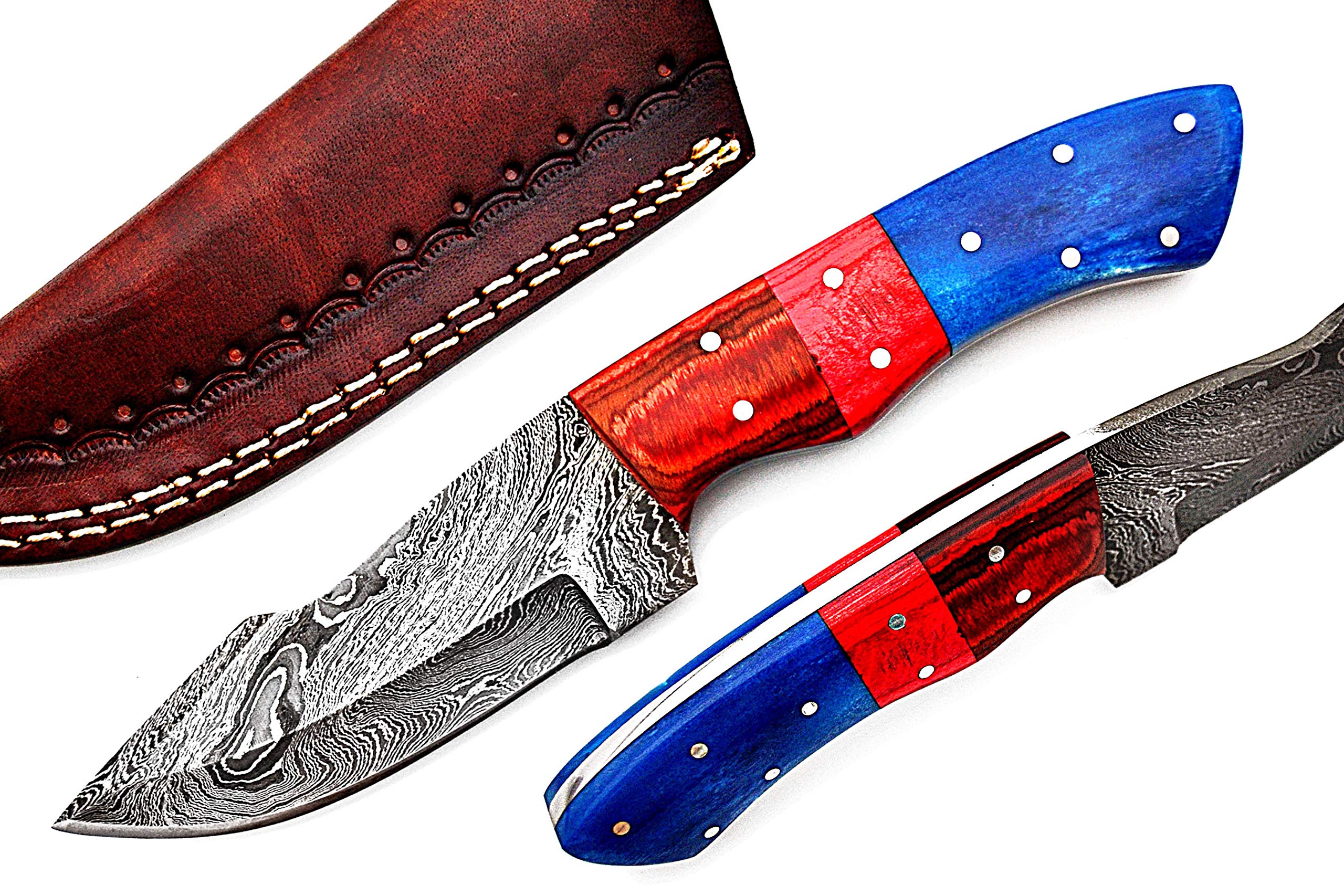 Smart & Sharp Custom Handmade Damascus Steel Hunting Knife/Skinning Knife AA-17301 (Red & Blue Wood)