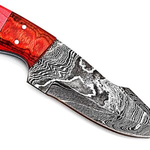 Smart & Sharp Custom Handmade Damascus Steel Hunting Knife/Skinning Knife AA-17301 (Red & Blue Wood)