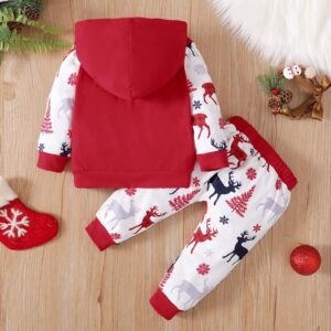 Baby Boys Girls Cute 2Pcs Outfits Clothes Set for Toddler Kids Christmas Print Hooded Pullover Tops Pants Trousers Set (Blue, 6-12 Months)