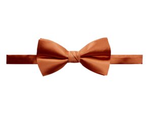 spring notion men's solid color satin microfiber bow tie rust