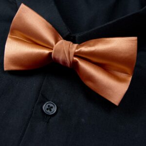 Spring Notion Men's Solid Color Satin Microfiber Bow Tie Rust