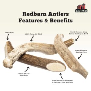 Redbarn Half Elk Antler XX-Large for Dogs