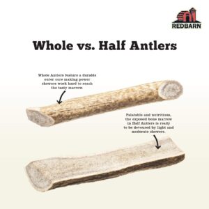 Redbarn Half Elk Antler XX-Large for Dogs