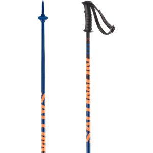 Salomon Kaloo Junior Ski Poles - 85