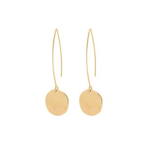 shiny hammering circle disc small dangle drop hanging earrings long hoops round jewelry for women (gold disc earrings)