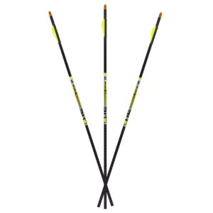 Carbon Express D-Stroyer Hunting Arrow Shafts, 12-Pack, High Modulus Carbon Weave, Dual Spine Weight Forward Technology, Laser Checked, Length 31.5” - 350, 400, or 500 Spine