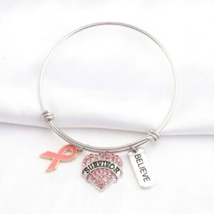 Gzrlyf Stainless Steel Bangle, Survivor Bracelet for Breast Cancer Awareness, Pink Heart Charm