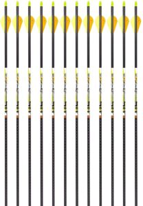 carbon express d-stroyer sd hunting arrow shafts, 12-pack, small diameter .203”id, high modulus carbon weave, dual spine weight forward technology, laser checked, length 31.5” - 300, 350 or 400 spines