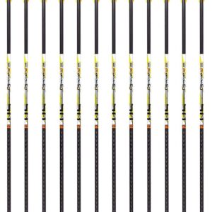 Carbon Express D-Stroyer SD Hunting Arrow Shafts, 12-Pack, Small Diameter .203”ID, High Modulus Carbon Weave, Dual Spine Weight Forward Technology, Laser Checked, Length 31.5” - 300, 350 or 400 Spines