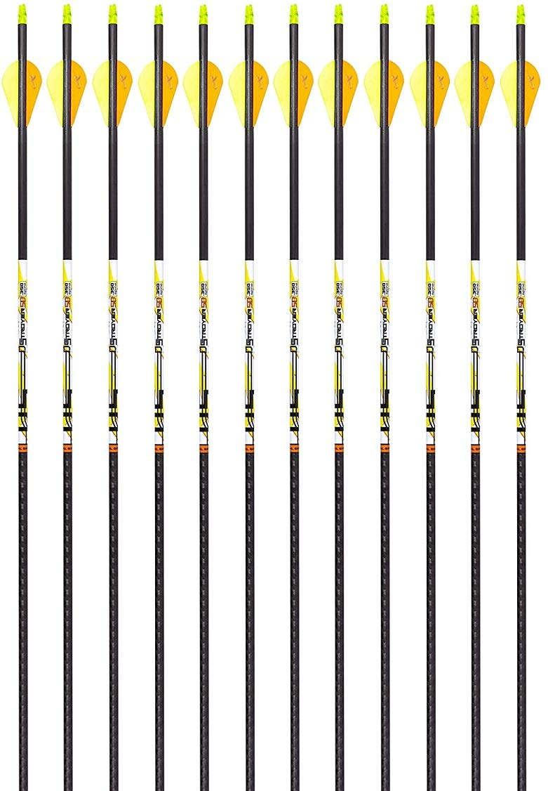 Carbon Express D-Stroyer SD Hunting Arrow Shafts, 12-Pack, Small Diameter .203”ID, High Modulus Carbon Weave, Dual Spine Weight Forward Technology, Laser Checked, Length 31.5” - 300, 350 or 400 Spines