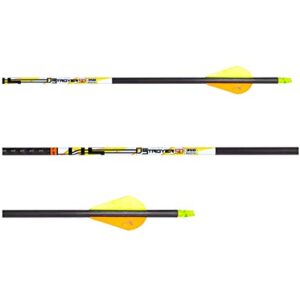 Carbon Express D-Stroyer SD Hunting Arrow Shafts, 12-Pack, Small Diameter .203”ID, High Modulus Carbon Weave, Dual Spine Weight Forward Technology, Laser Checked, Length 31.5” - 300, 350 or 400 Spines