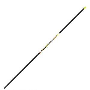 Carbon Express D-Stroyer SD Hunting Arrow Shafts, 12-Pack, Small Diameter .203”ID, High Modulus Carbon Weave, Dual Spine Weight Forward Technology, Laser Checked, Length 31.5” - 300, 350 or 400 Spines