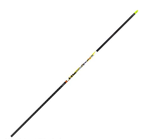 Carbon Express D-Stroyer SD Hunting Arrow Shafts, 12-Pack, Small Diameter .203”ID, High Modulus Carbon Weave, Dual Spine Weight Forward Technology, Laser Checked, Length 31.5” - 300, 350 or 400 Spines