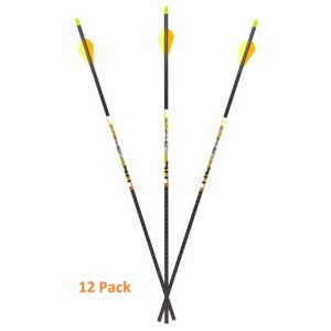 Carbon Express D-Stroyer SD Hunting Arrow Shafts, 12-Pack, Small Diameter .203”ID, High Modulus Carbon Weave, Dual Spine Weight Forward Technology, Laser Checked, Length 31.5” - 300, 350 or 400 Spines