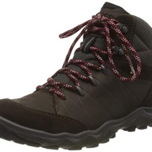 ECCO Men's Hiking Ankle Boot, Brown Licorice Coffee, 10-10.5