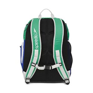 Speedo Large Teamster Backpack 35-Liter, Blue/Green 2.0, One Size