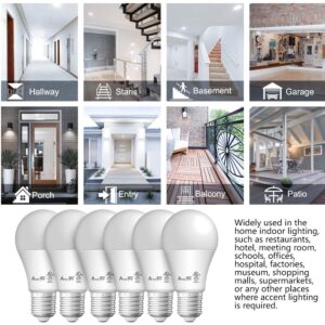 AmeriTop A19 LED Light Bulbs- 6 Pack, Efficient 14W(100W Equivalent) 1600 Lumens General Lighting Bulbs, UL Listed, Non-Dimmable, E26 Standard Base (5000K Daylight)