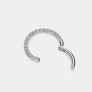 FANSING Grade 23 Titanium Daith Earrings for Women 16 Gauge Helix Cartilage Ear Piercing Hoop 10mm Septum Jewelry Silver Hinged Septum Nose Rings 16g Clicker