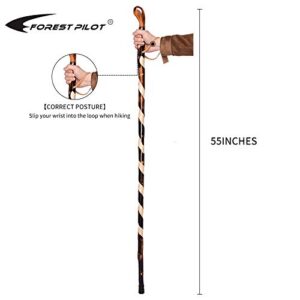 FOREST PILOT Mimetic Root Head Wooden Walking Stick (Dark Brown Color, 55 Inches, 1 Piece)