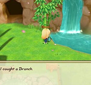 Story of Seasons - Friends Of Mineral Town (Nintendo Switch)