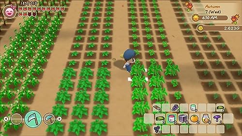 Story of Seasons - Friends Of Mineral Town (Nintendo Switch)