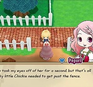 Story of Seasons - Friends Of Mineral Town (Nintendo Switch)