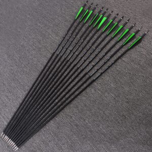 Carbon Arrows - 31 Inch Spine 500 Target Arrow with 100 Grain Removable Arrowhead for Compound Recurve Long Bows Practice & Hunting 12 Pcs