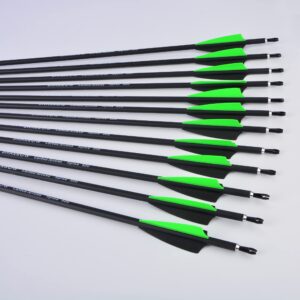 Carbon Arrows - 31 Inch Spine 500 Target Arrow with 100 Grain Removable Arrowhead for Compound Recurve Long Bows Practice & Hunting 12 Pcs