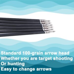 Carbon Arrows - 31 Inch Spine 500 Target Arrow with 100 Grain Removable Arrowhead for Compound Recurve Long Bows Practice & Hunting 12 Pcs