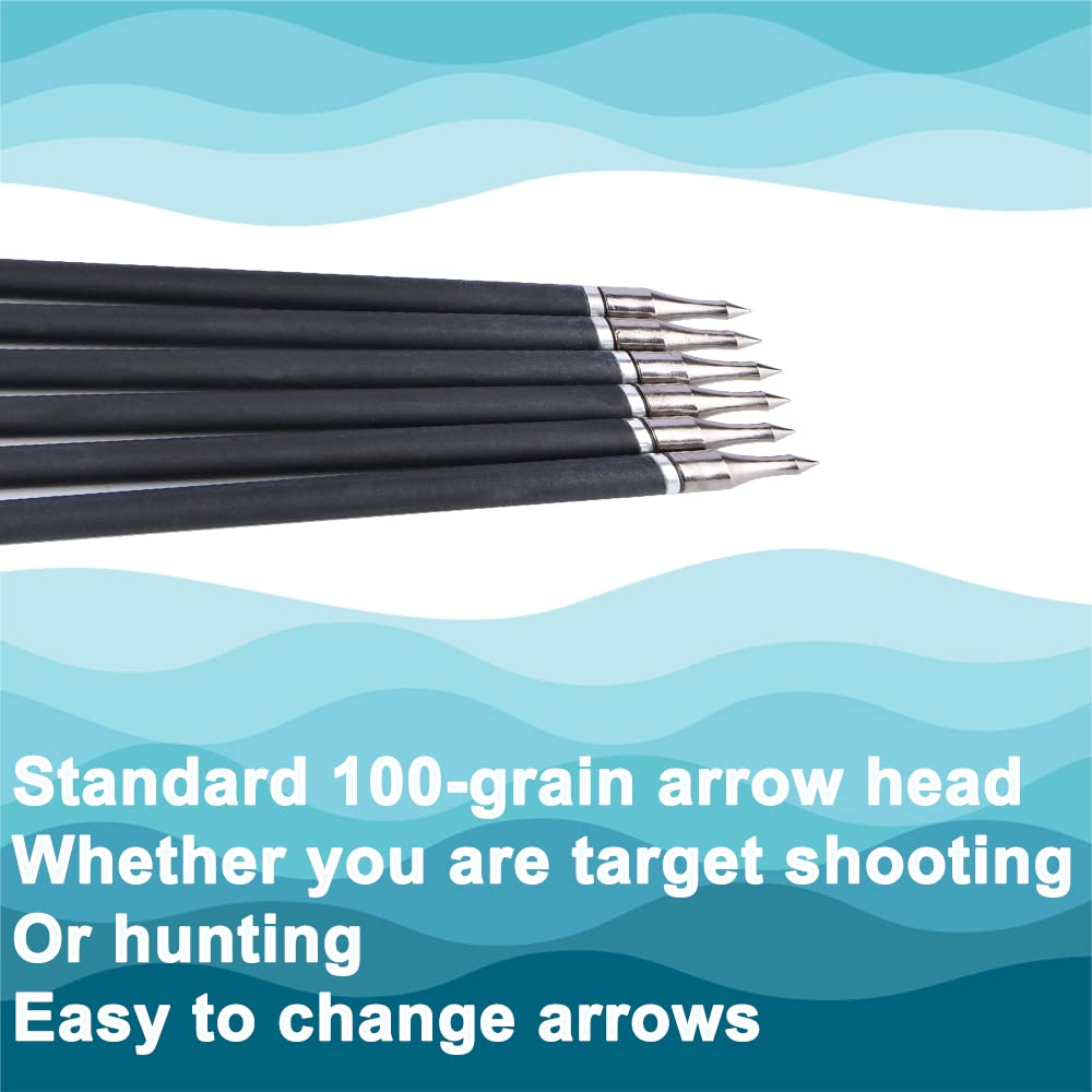 Carbon Arrows - 31 Inch Spine 500 Target Arrow with 100 Grain Removable Arrowhead for Compound Recurve Long Bows Practice & Hunting 12 Pcs