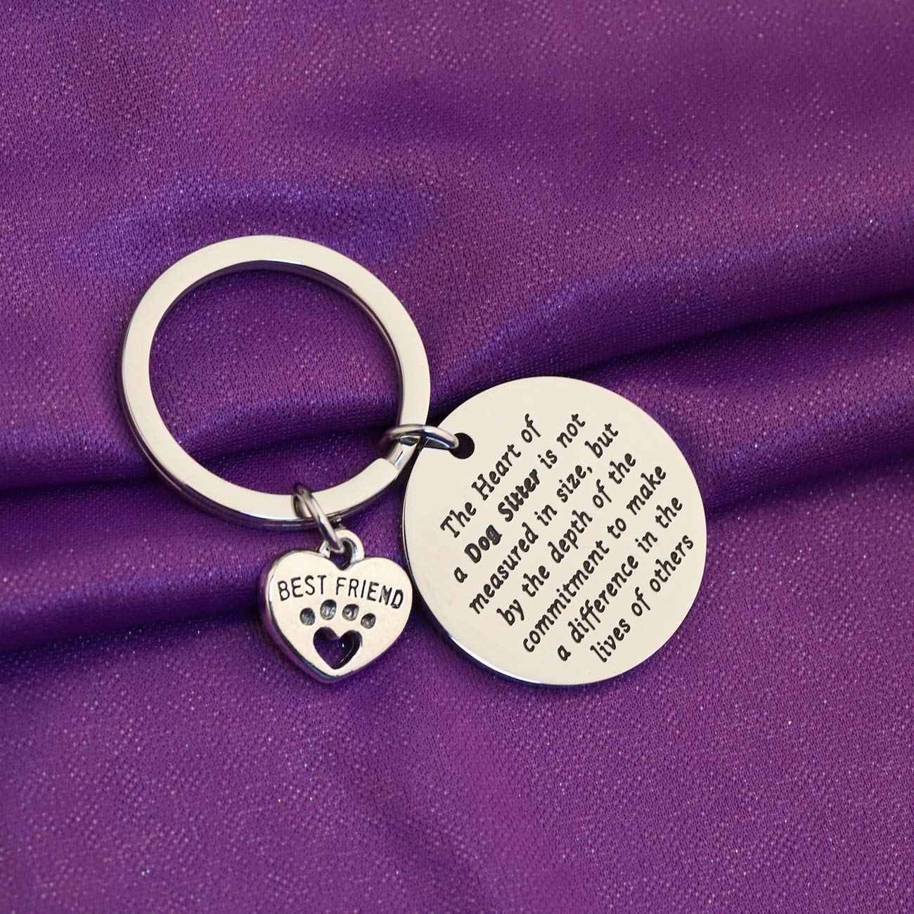 LQRI Dog Sitter Gift Pet Sitter Gift Dog Sitter Thank You Gift The Heart of a Dog Sitter is Not Measured in Size Appreciation Keychain for Dog Walker Dog Babysitter Pet Caretaker (sliver)