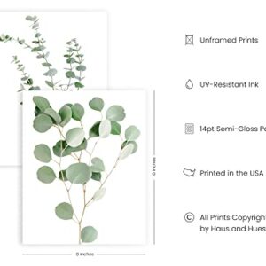 HAUS AND HUES Botanical Plant Wall Art Prints - Set of 4 Plant Decor Prints, Floral Kitchen Pictures, Flower Leaves Wall Art, Boho Leaf Eucalyptus Wall Décor (8x10, UNFRAMED)