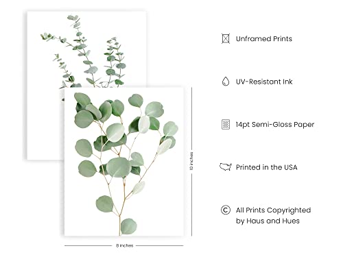 HAUS AND HUES Botanical Plant Wall Art Prints - Set of 4 Plant Decor Prints, Floral Kitchen Pictures, Flower Leaves Wall Art, Boho Leaf Eucalyptus Wall Décor (8x10, UNFRAMED)